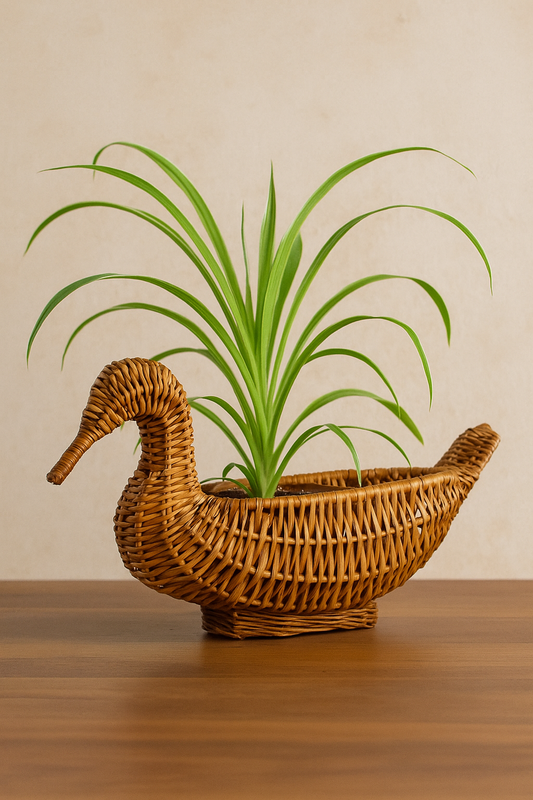 Cane Duck without Handle